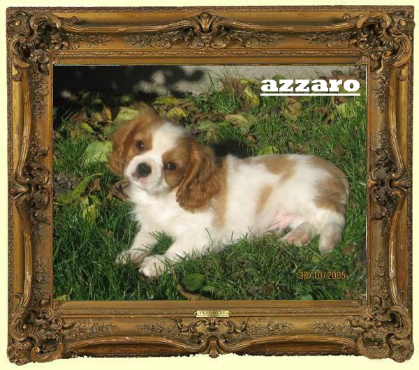 Azzaro du Mont D'Alesia