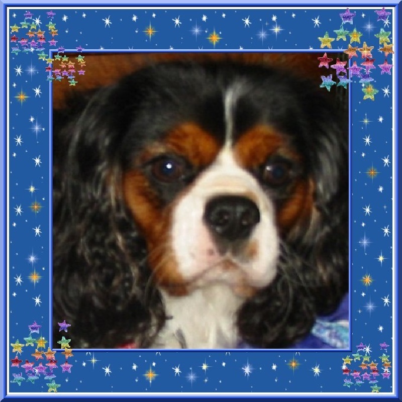 Affix du Mont D'Alesia